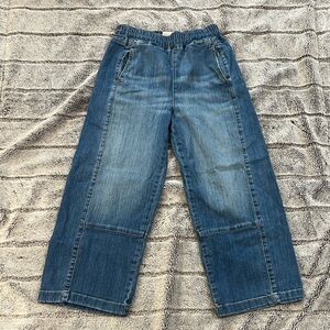 Pilcro Izzie Relaxed Barrel Jeans